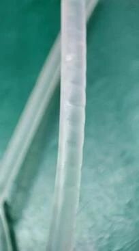 輸液器選擇不當可能造成輸液泵不良事件